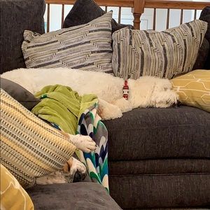 Meet your Posher, Tonya